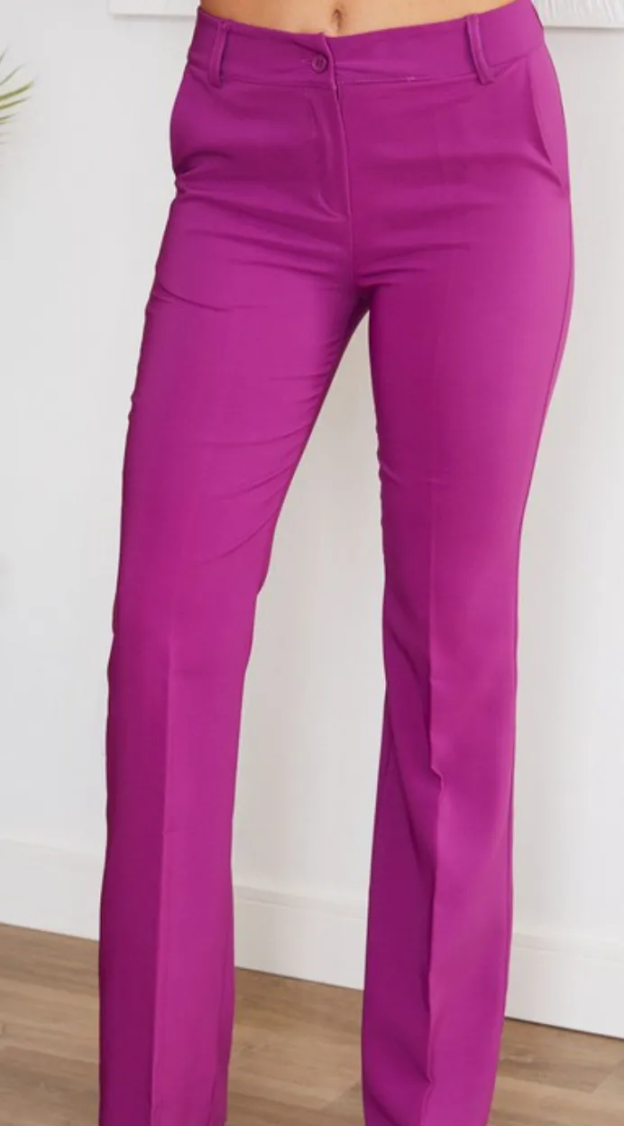 Zipper Fly Slim Flare Dress Pants